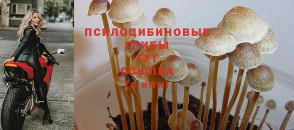 ALPHA-PVP Вязьма